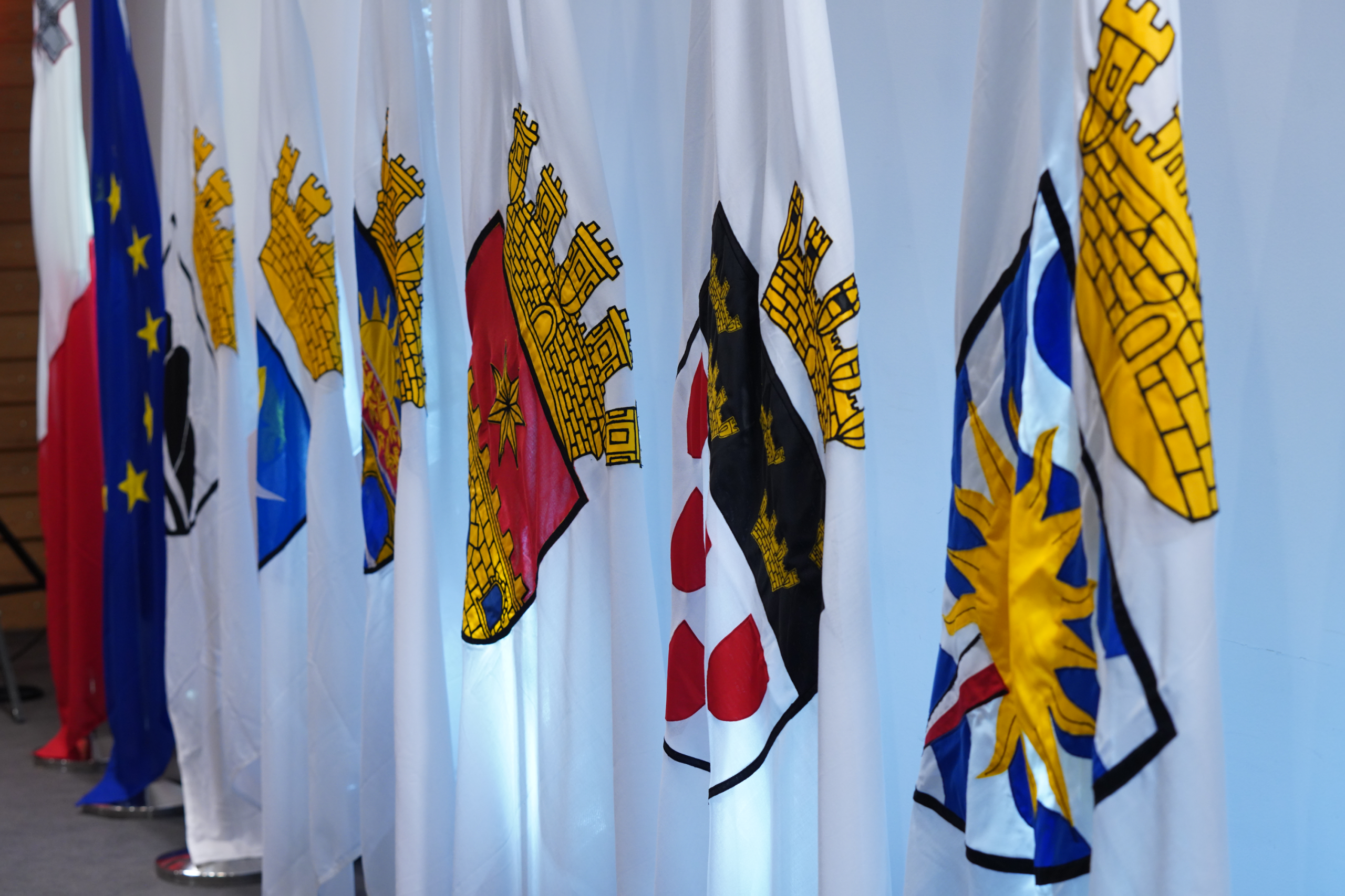 Regional Cultural Cooperation Programme